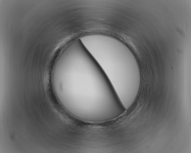 X0000114570539200910191035
