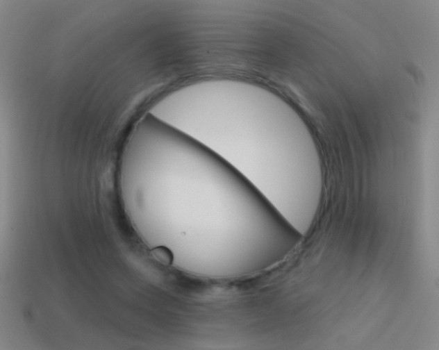 X0000114570543200910191035