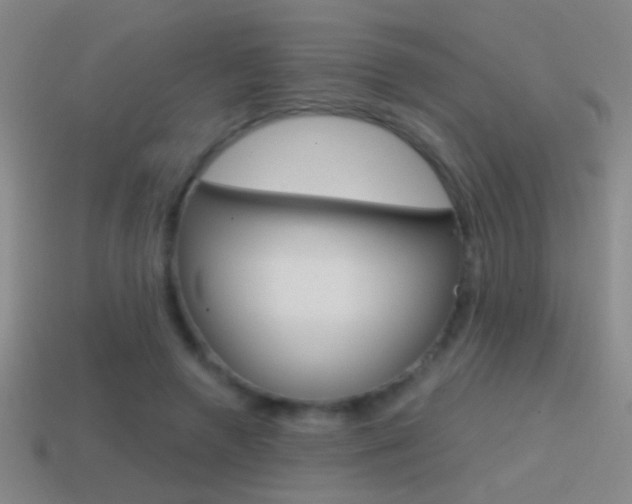 X0000114570546200910191035