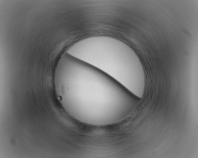 X0000114570547200910191035