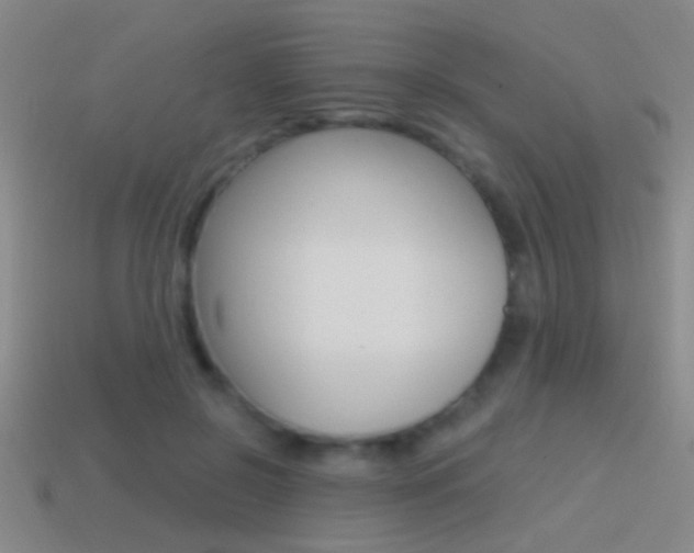 X0000114570550200910191035