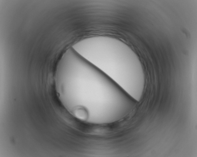 X0000114570555200910191035