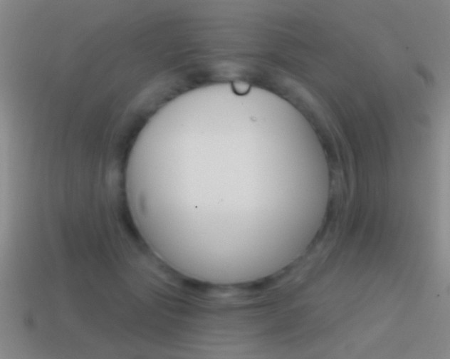 X0000114570557200910191035