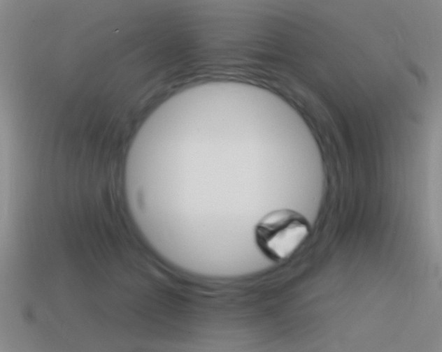 X0000114570558200910191035