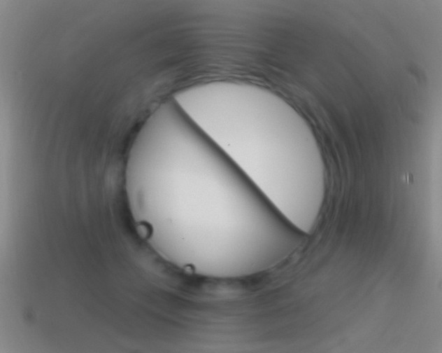X0000114570559200910191035