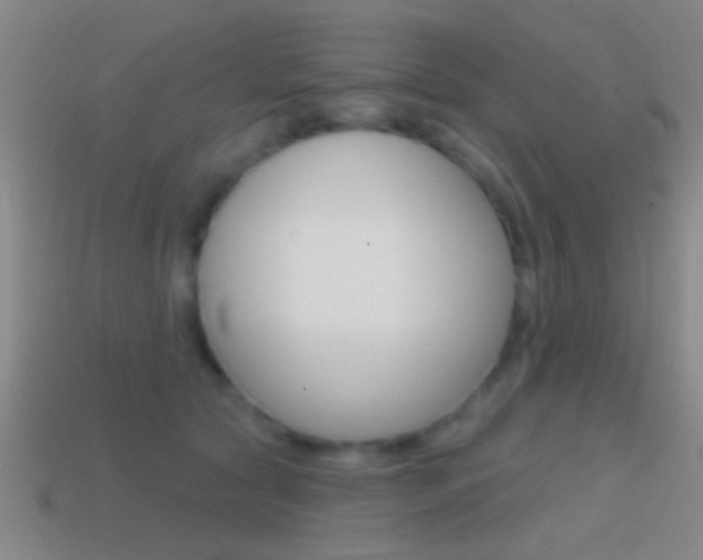X0000114570561200910191035