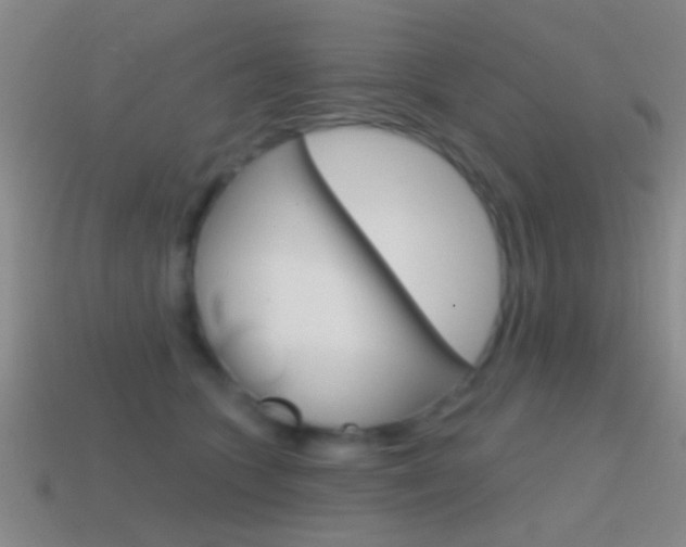 X0000114570563200910191036