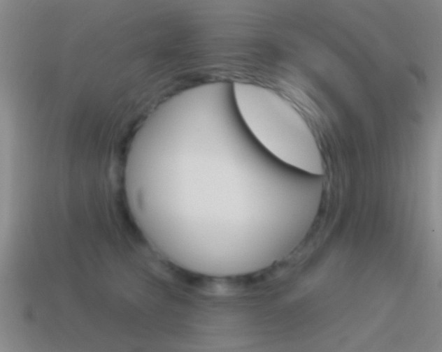 X0000114570565200910191036