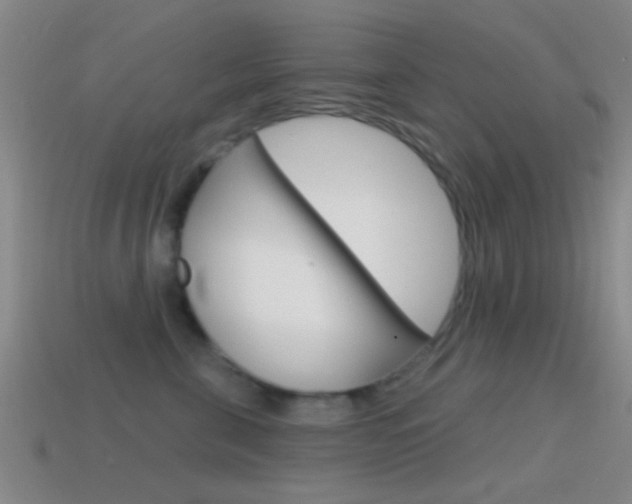 X0000114570571200910191036
