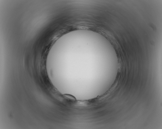 X0000114570573200910191036