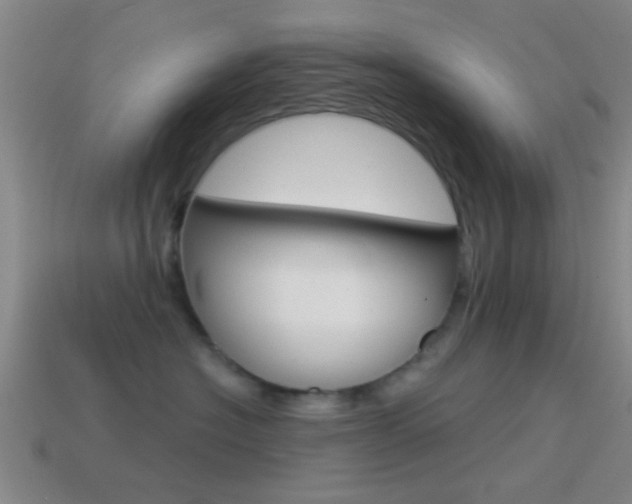 X0000114570574200910191036