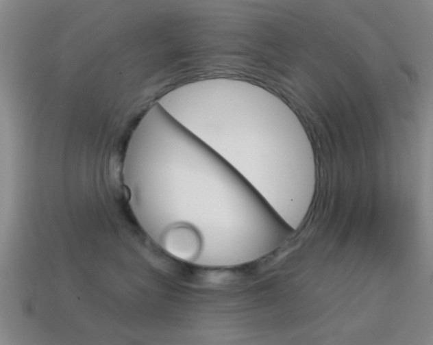X0000114570575200910191036