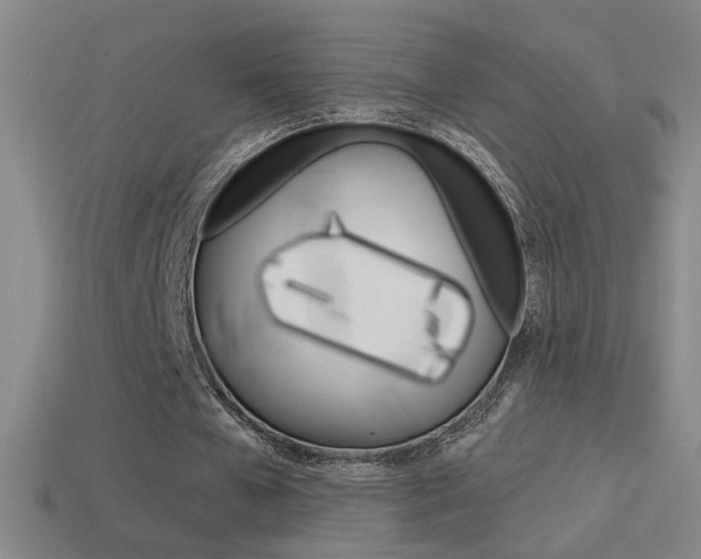 X0000114570577200910191035