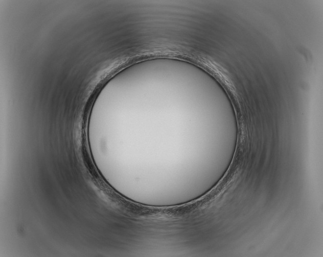 X0000114570578200910191035