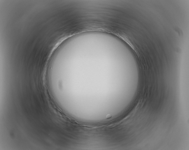 X0000114570579200910191035