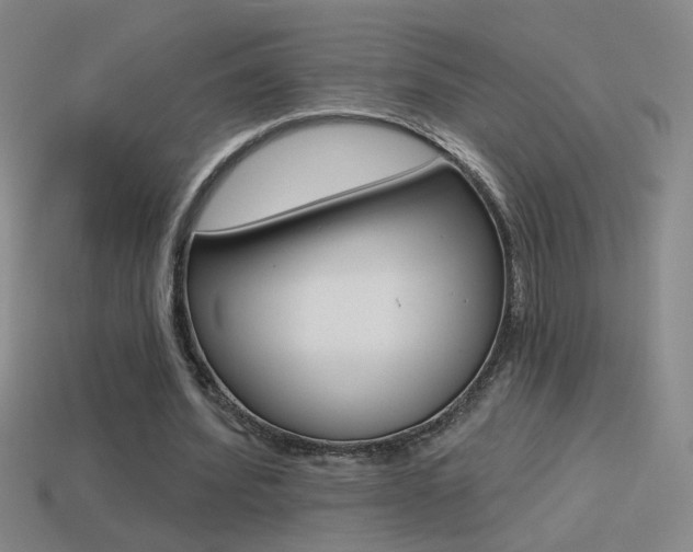 X0000114570580200910191035