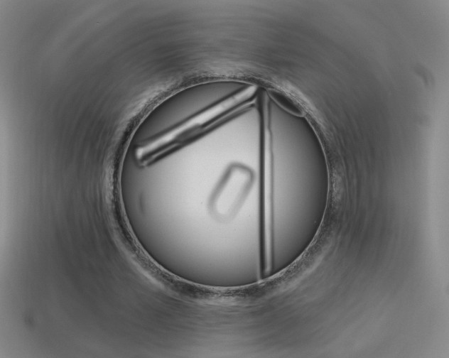 X0000114570581200910191035