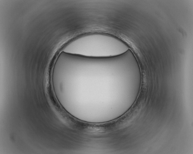 X0000114570582200910191035