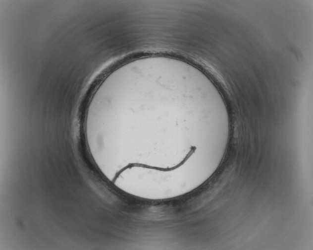 X0000114570584200910191035
