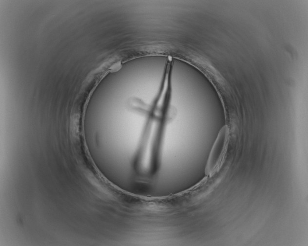 X0000114570585200910191035