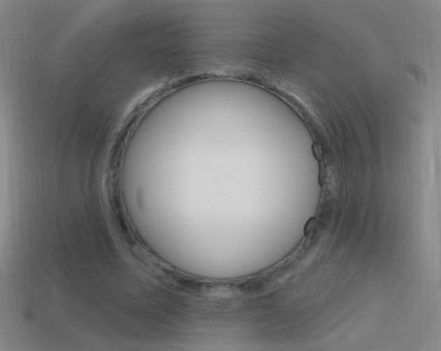 X0000114570587200910191035