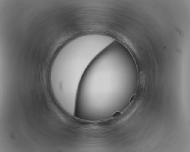 X0000114570589200910191035