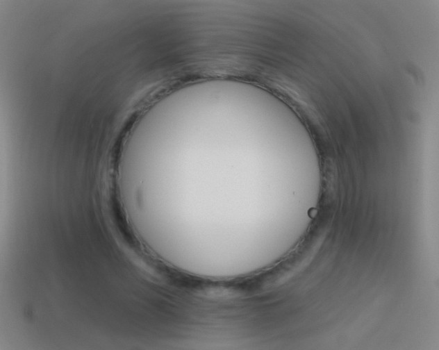 X0000114570590200910191035