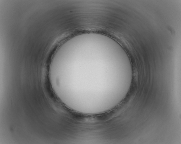 X0000114570591200910191035