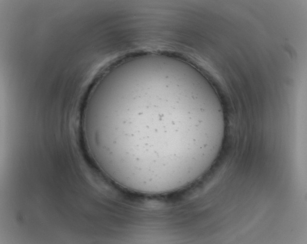X0000114570592200910191035