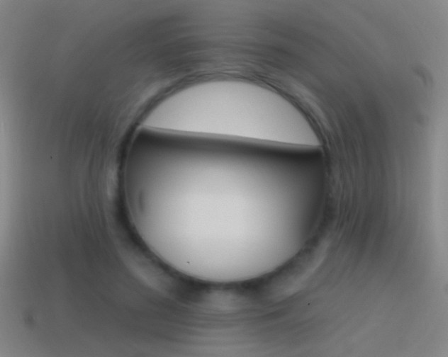 X0000114570596200910191035