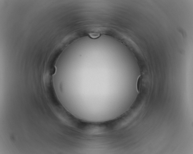 X0000114570597200910191035