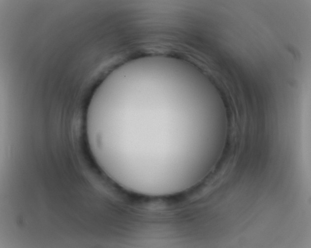 X0000114570600200910191035