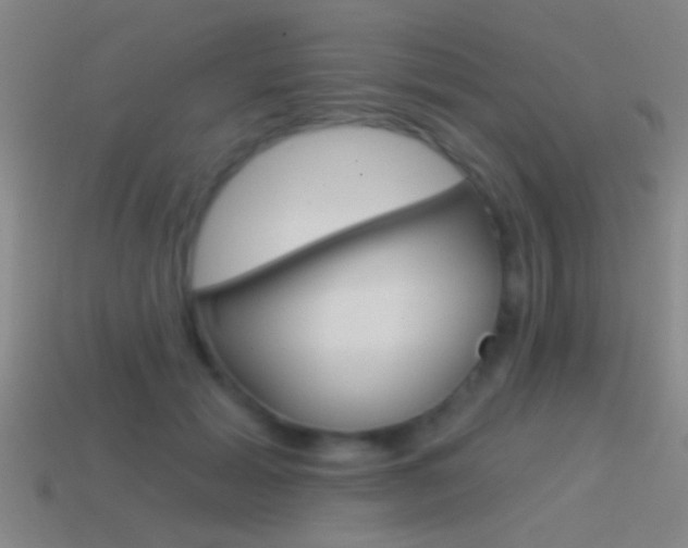 X0000114570605200910191035