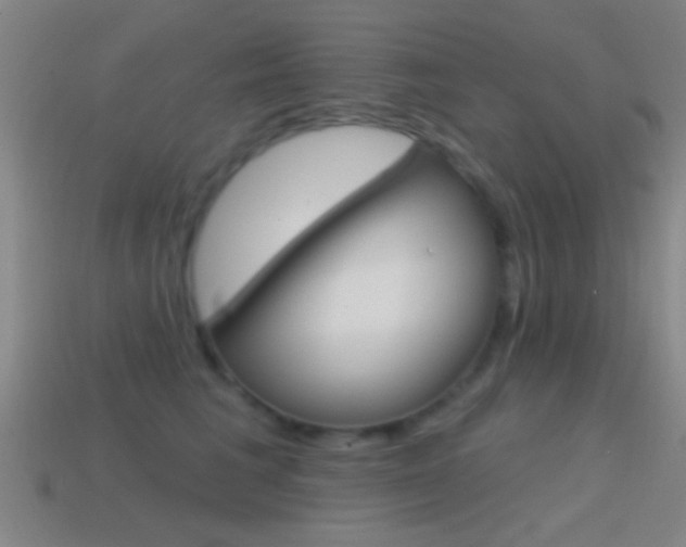 X0000114570613200910191035
