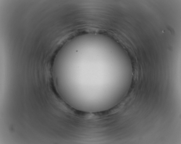 X0000114570616200910191035