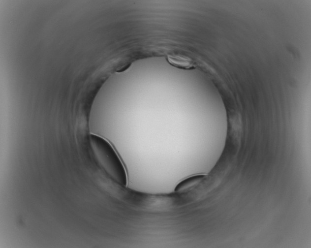 X0000114570617200910191035