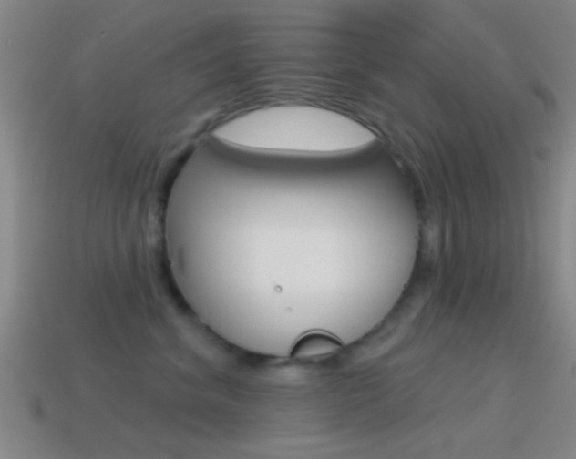 X0000114570620200910191035