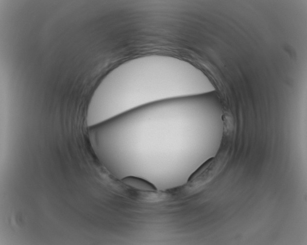 X0000114570621200910191034