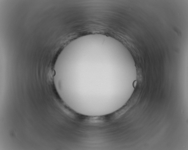 X0000114570622200910191034