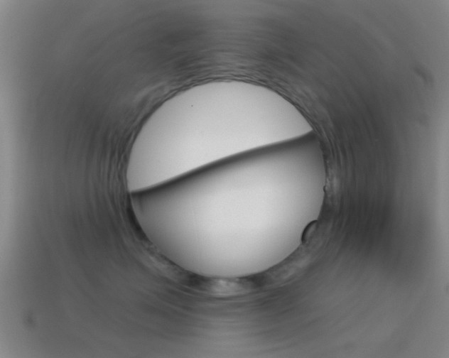 X0000114570623200910191034