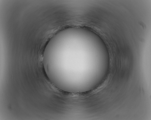 X0000114570624200910191034