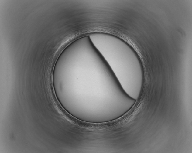 X0000114570625200910191034