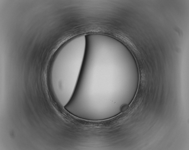 X0000114570626200910191034