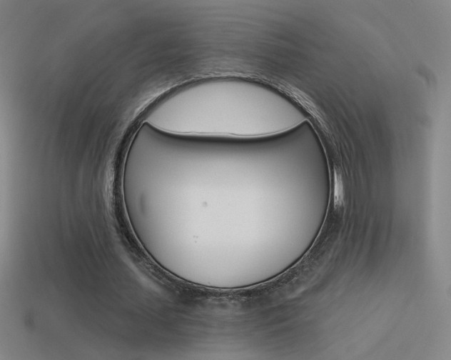 X0000114570627200910191034