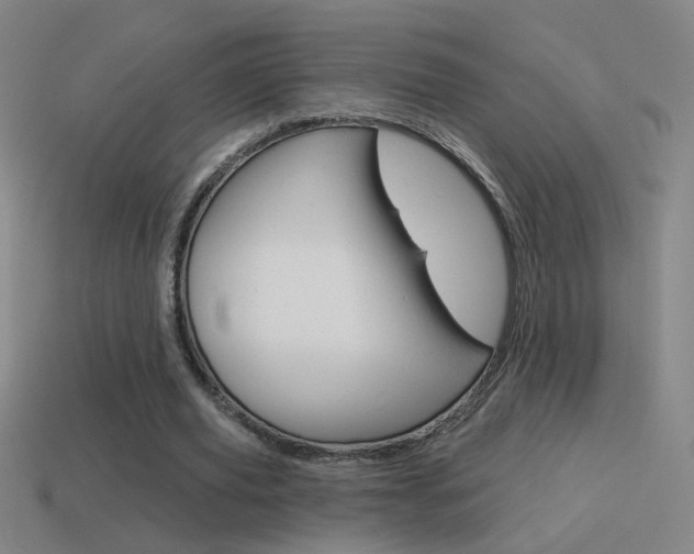 X0000114570629200910191034
