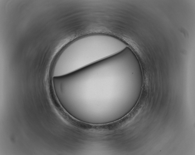 X0000114570630200910191034
