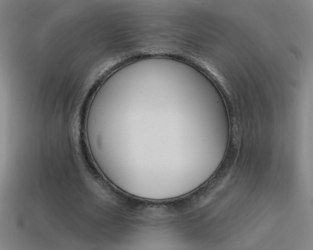 X0000114570631200910191034