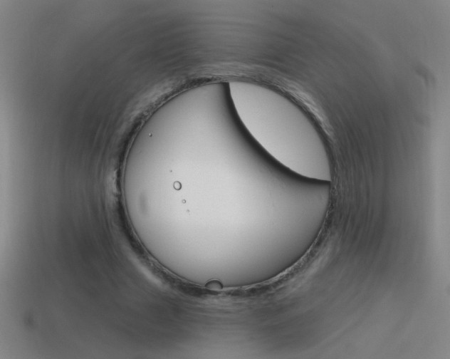 X0000114570633200910191034