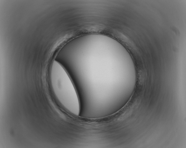 X0000114570634200910191034