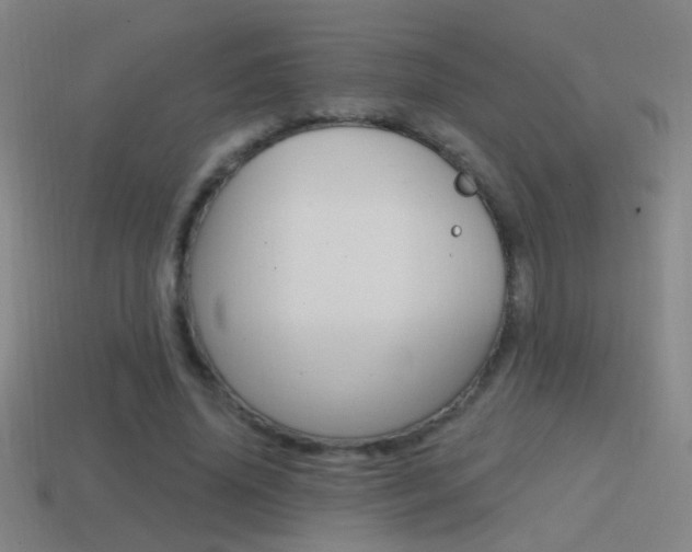 X0000114570636200910191034